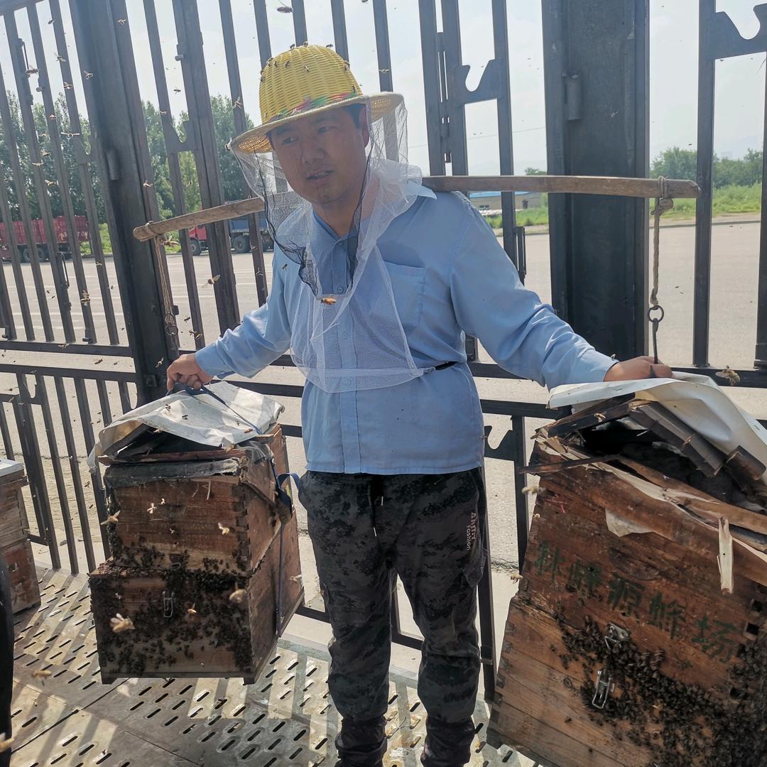 @蜜香臻品@王云龙