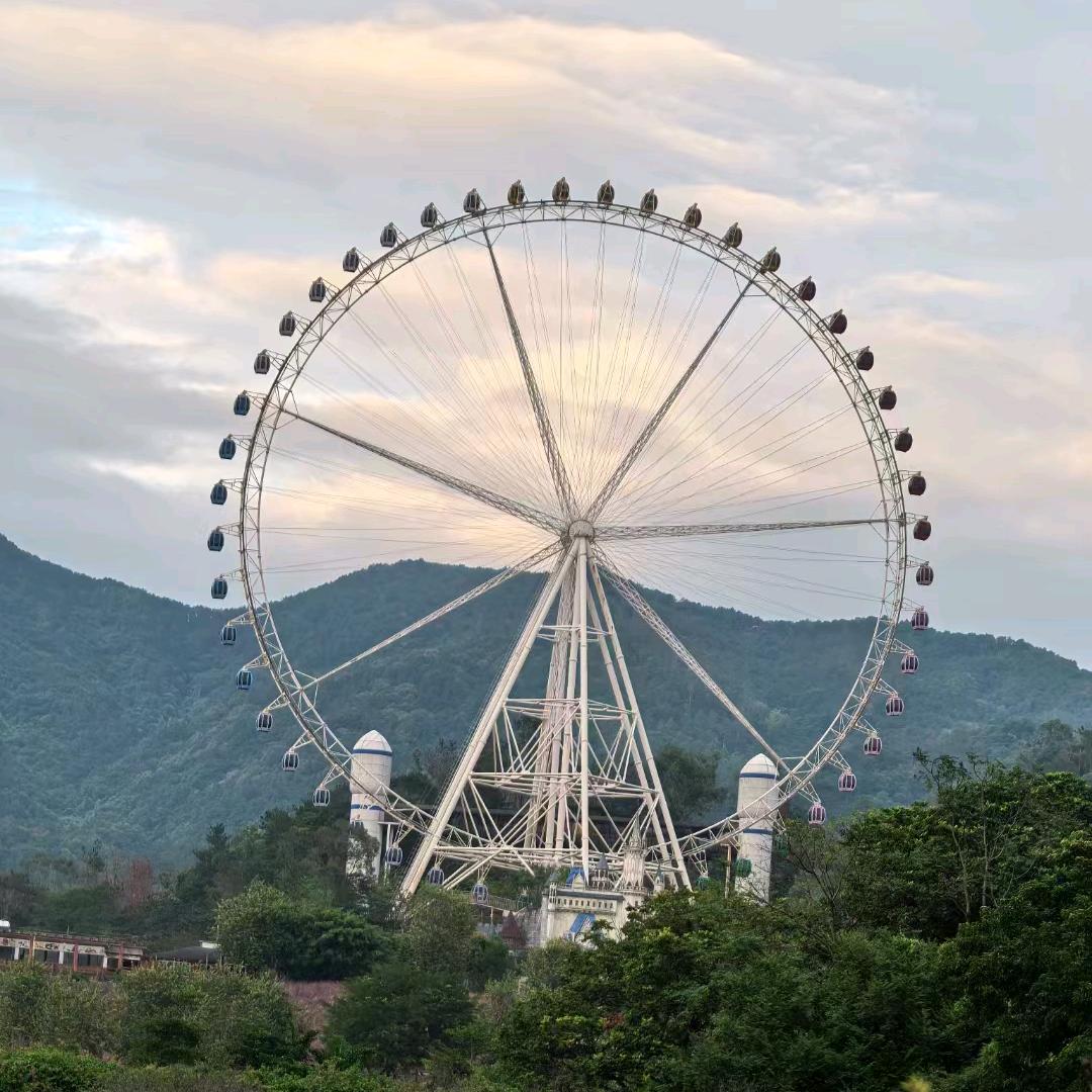 高惠婷
