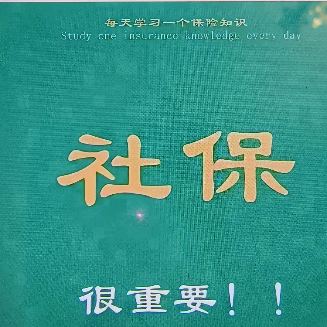 a河南社保规划王老师