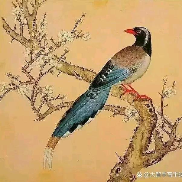 喜运恩惠