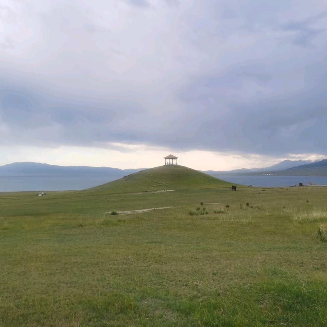 陈