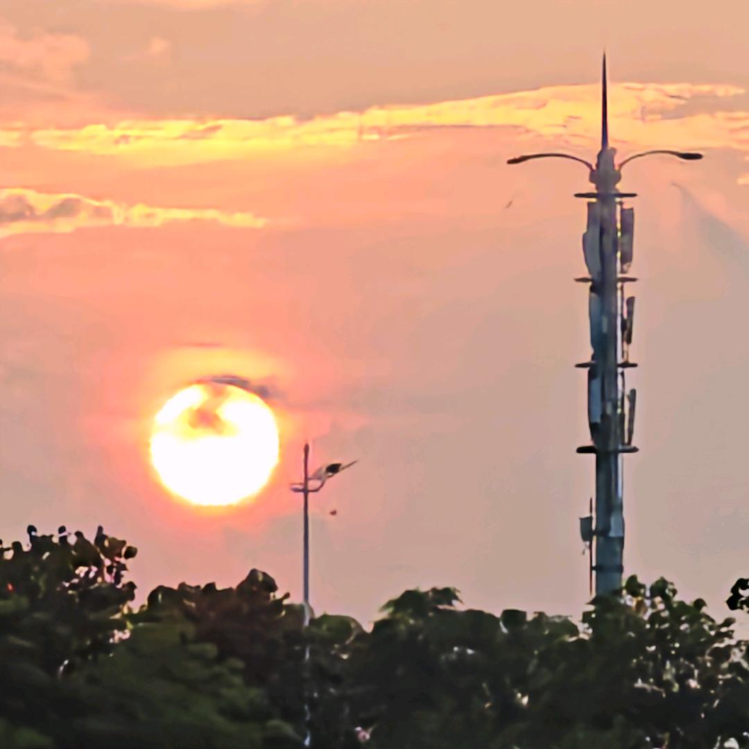 学习新思想，争做新青年