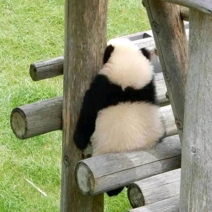 日升换月落.