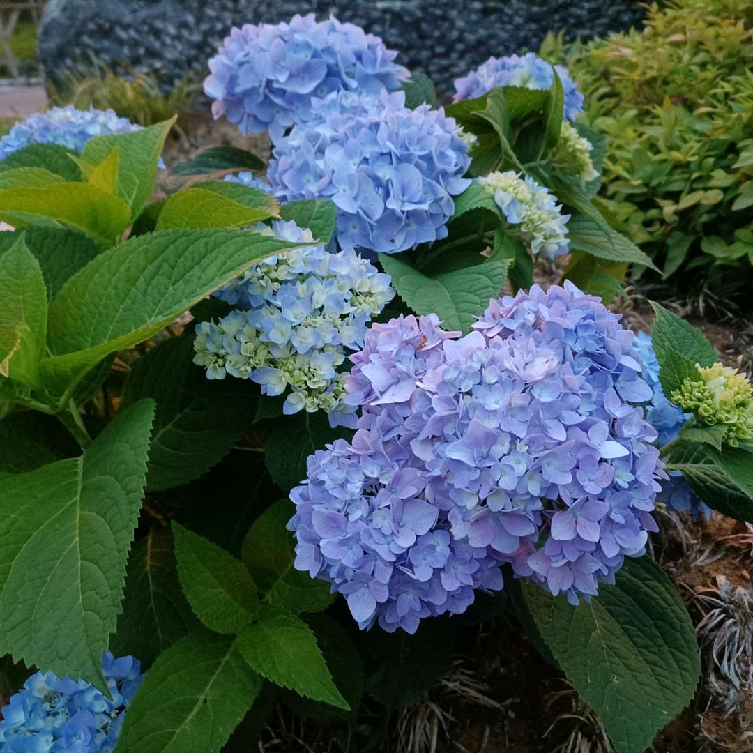 开开心心每一天