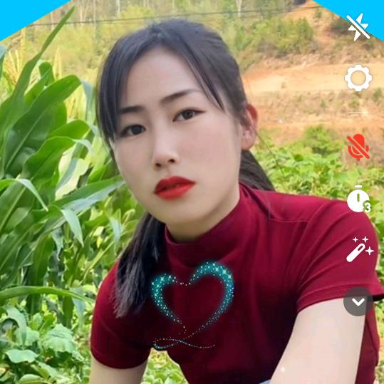 伟豪