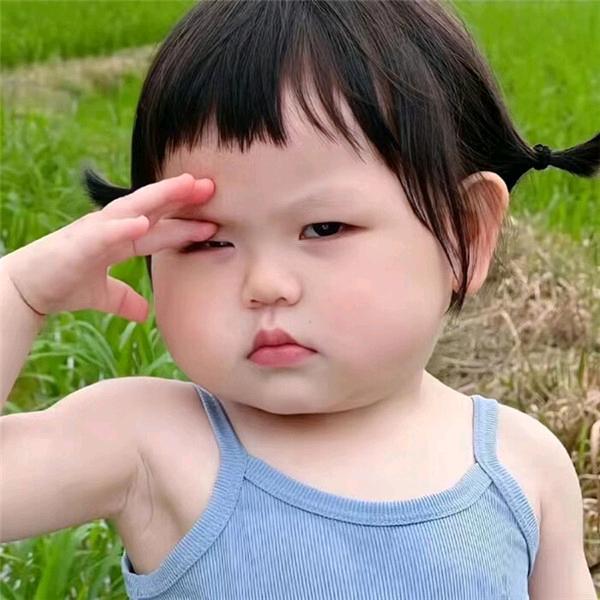 非洲小白脸