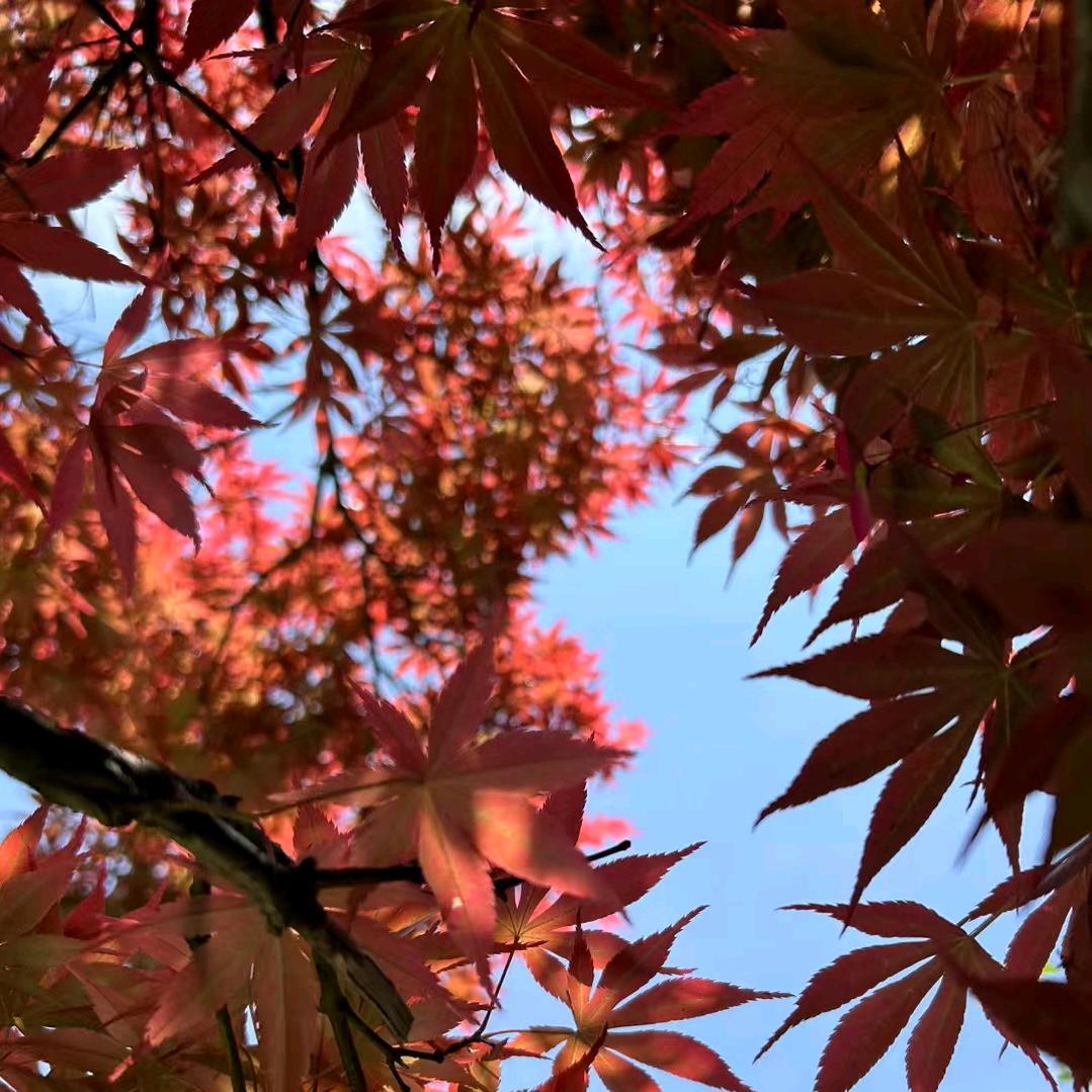 不要相信别人这么说