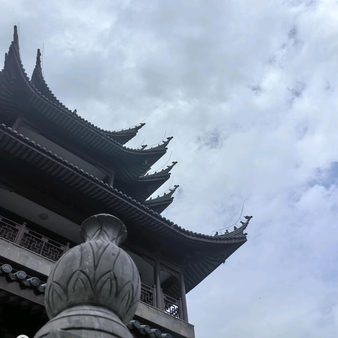 尼古拉斯