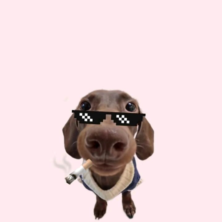 ＾