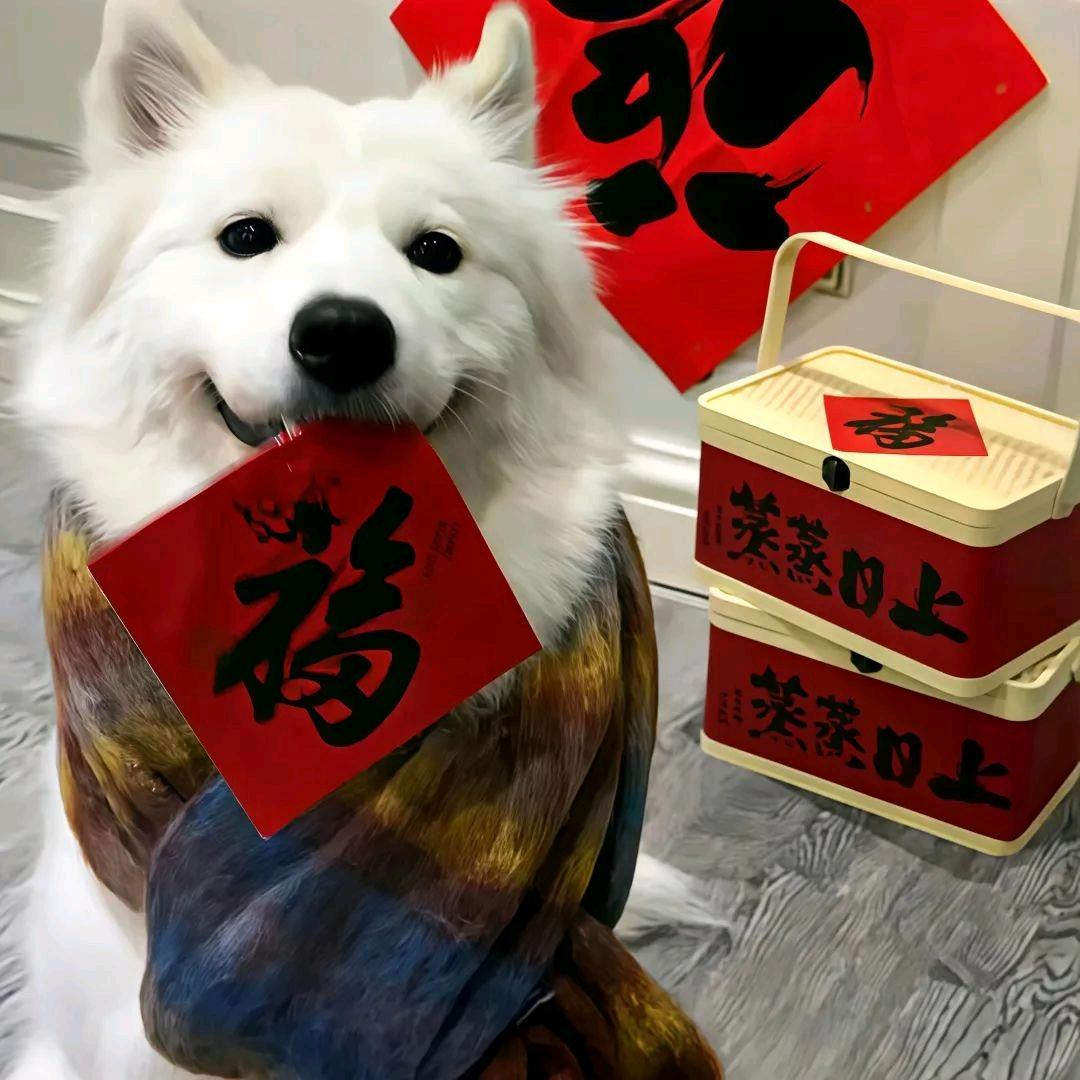 A.小旭
