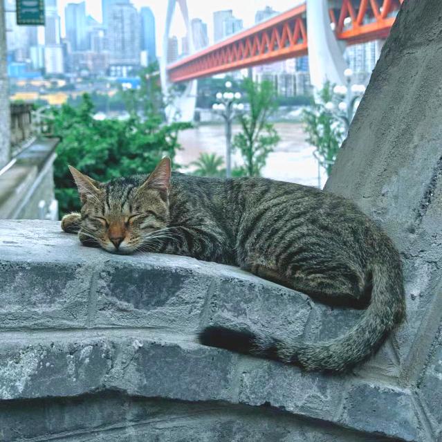 梦呓糨糊-解压乐源