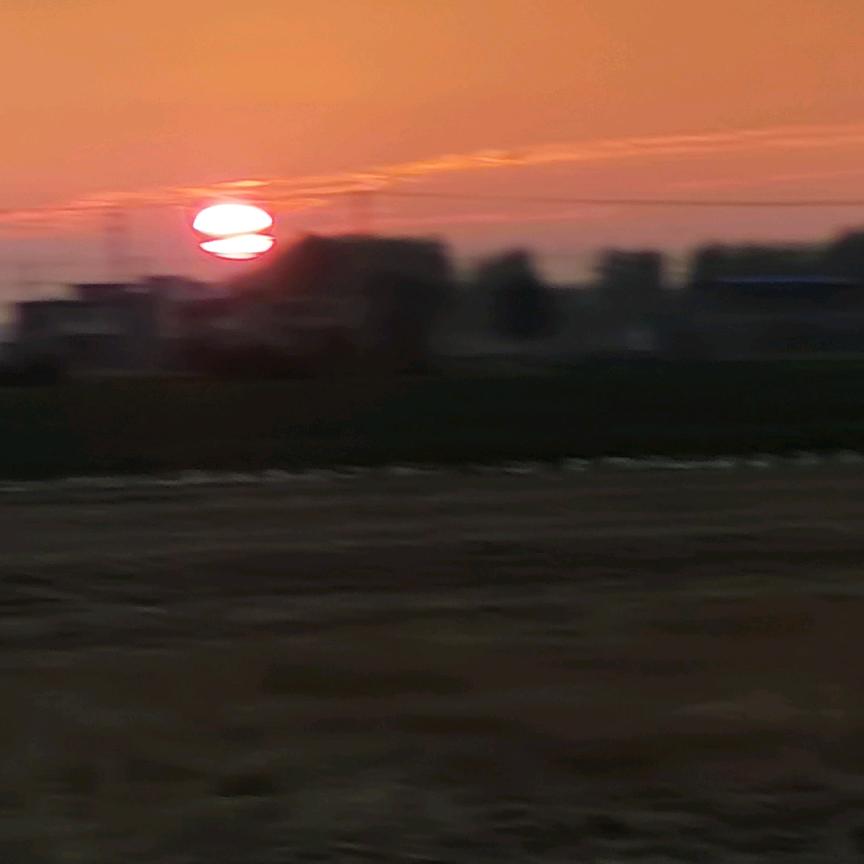 丽