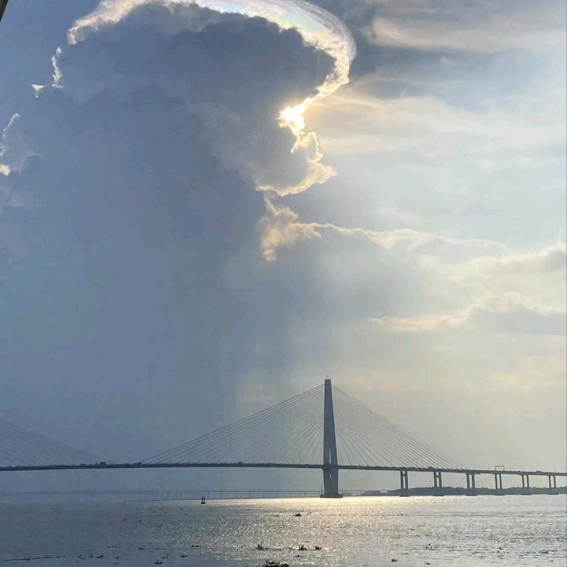 网恋被骗两格电