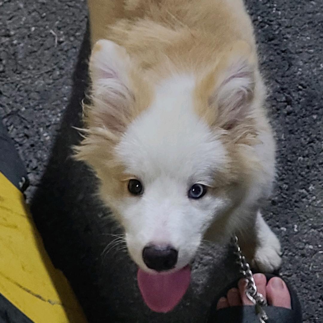 小七爸-佛山家具工厂