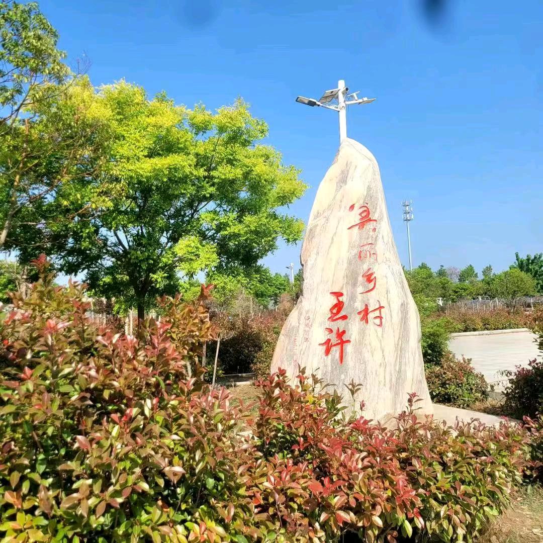 90后村干部🍇李杨
