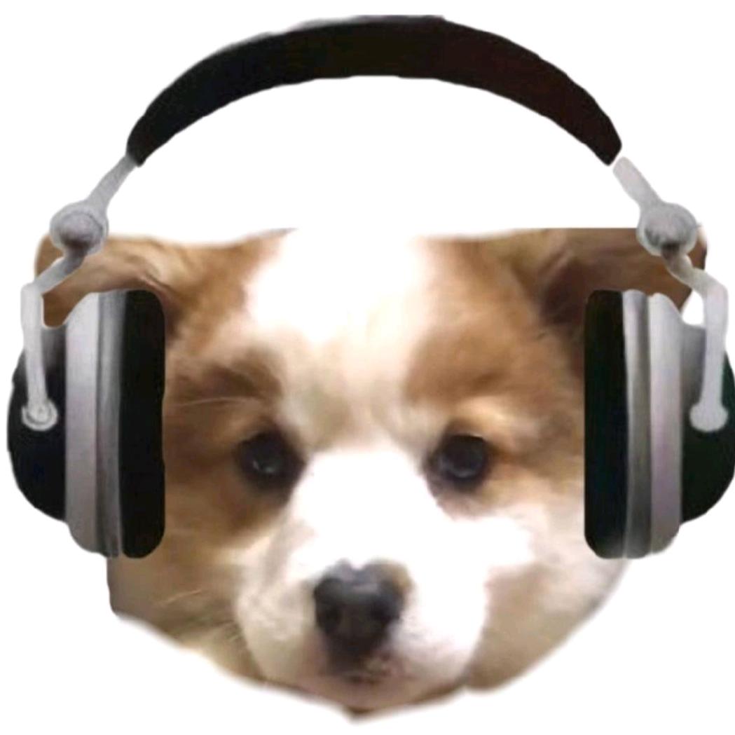 陈稳之力(我掉了一个粉丝)