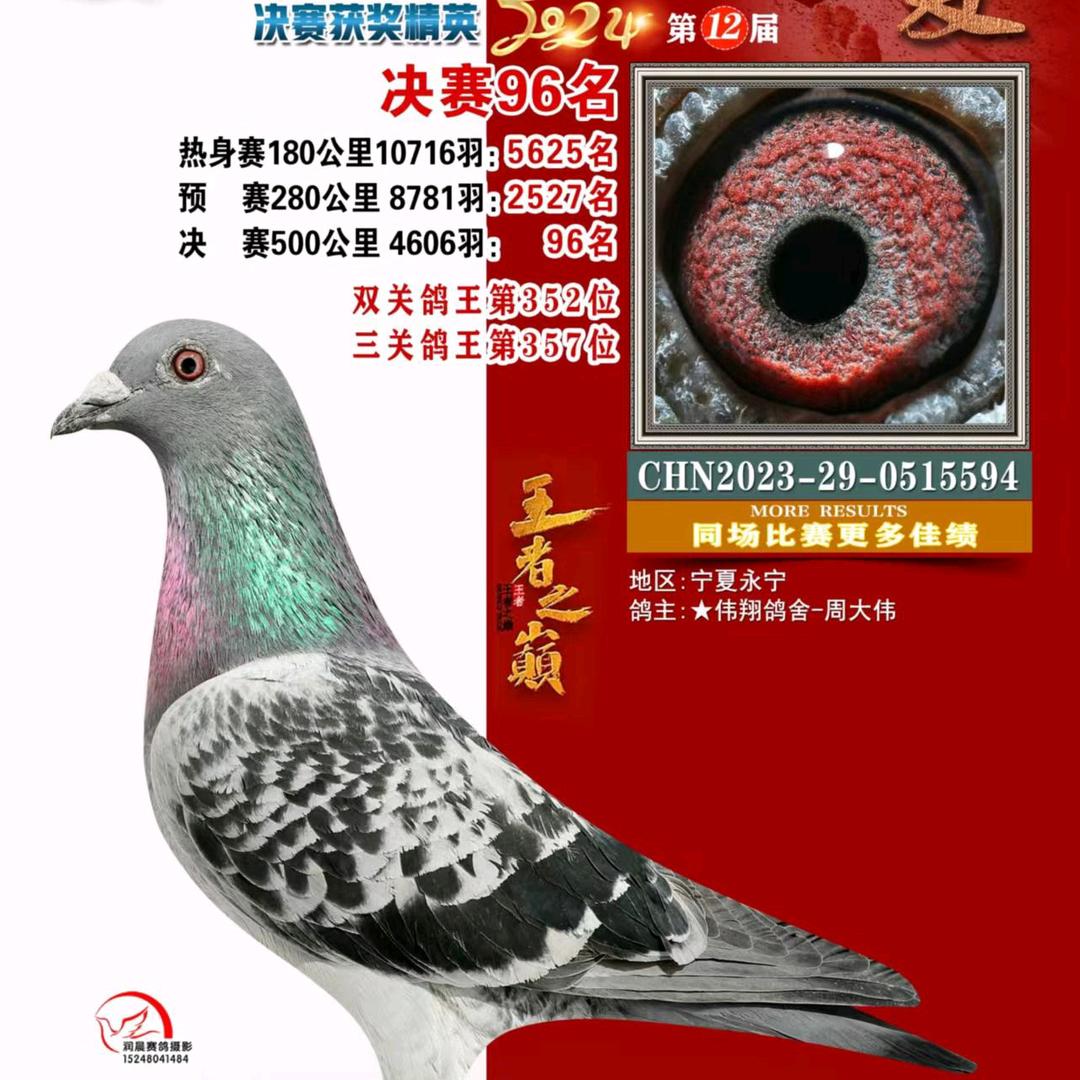 💔ꦿ໊余生᭄🕊我独行᭄ꦿᩚ٭