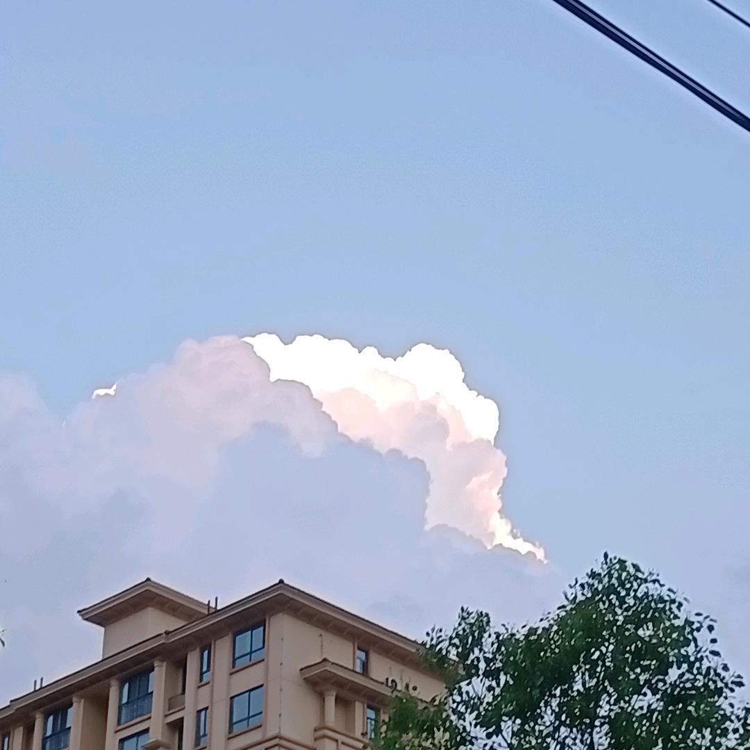 仰望天空