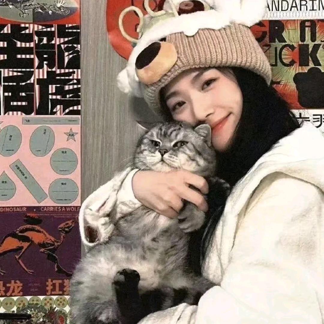 爱睡懒觉的猫💤