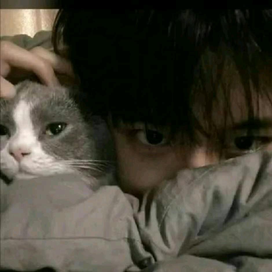 就吃香菜