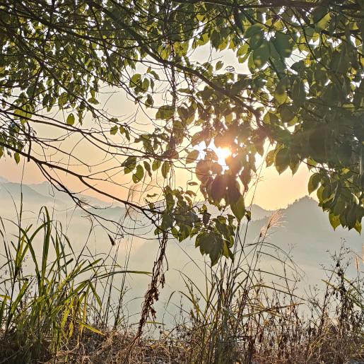 ᬐ清风੯暖𐙚˙阳ʅྀ𐙚