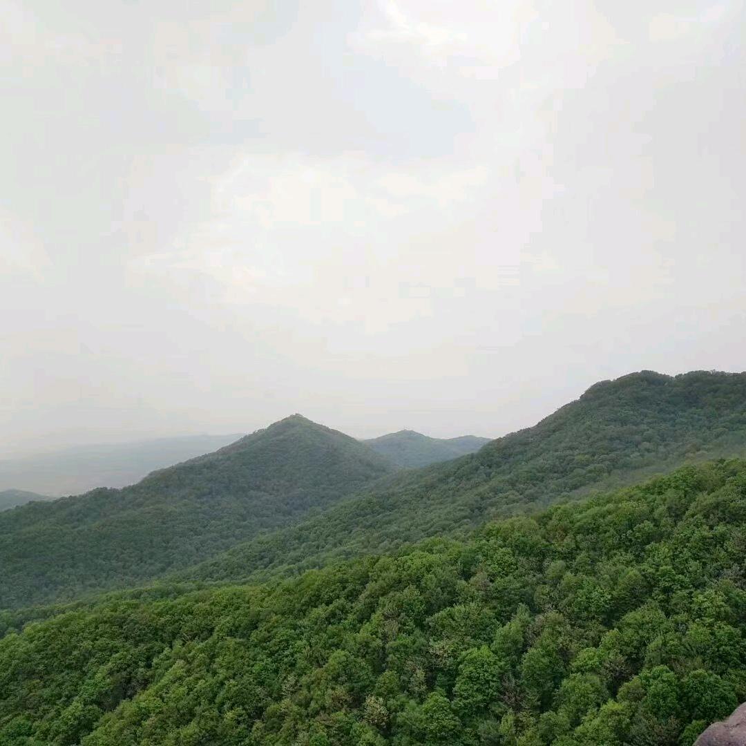 用户：