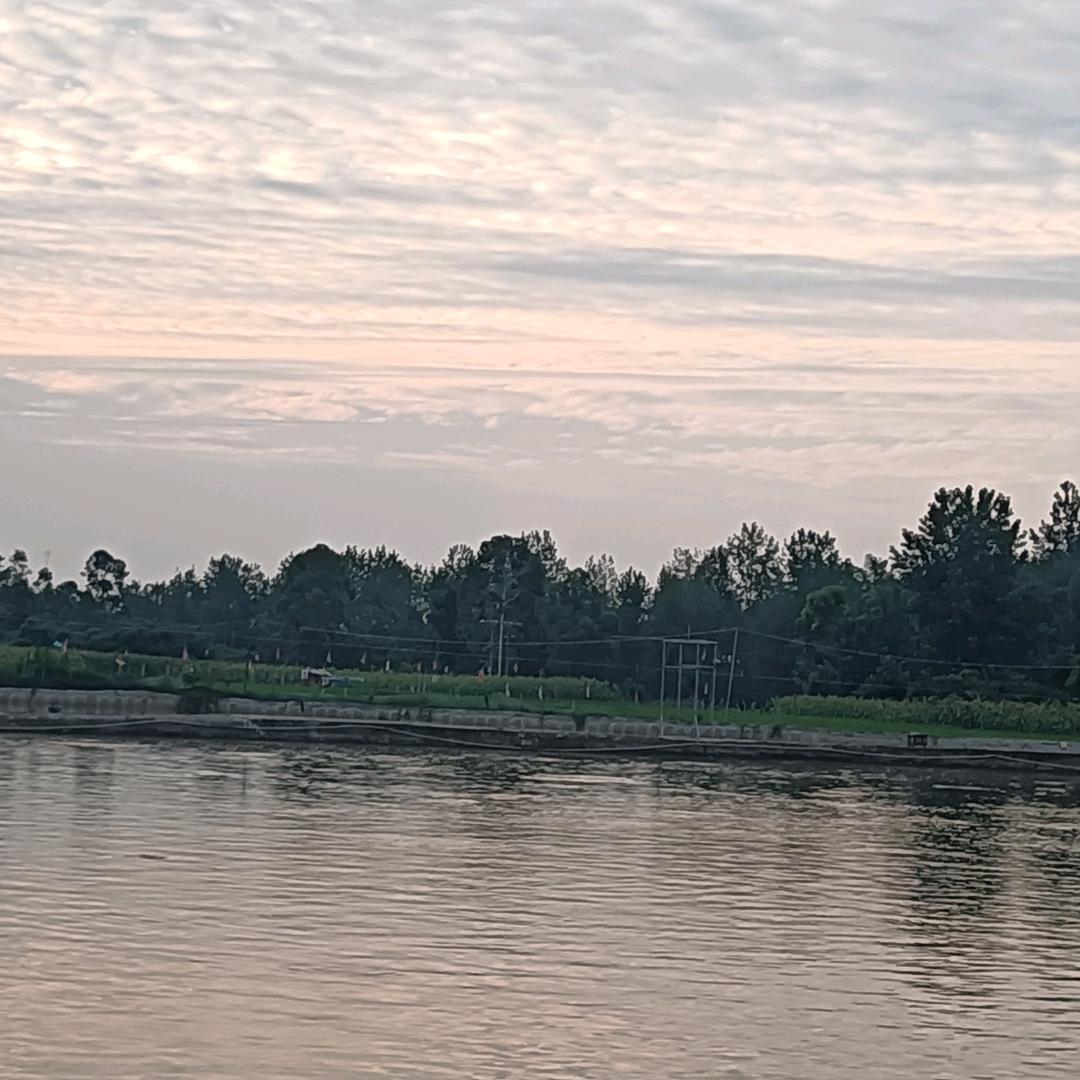 田