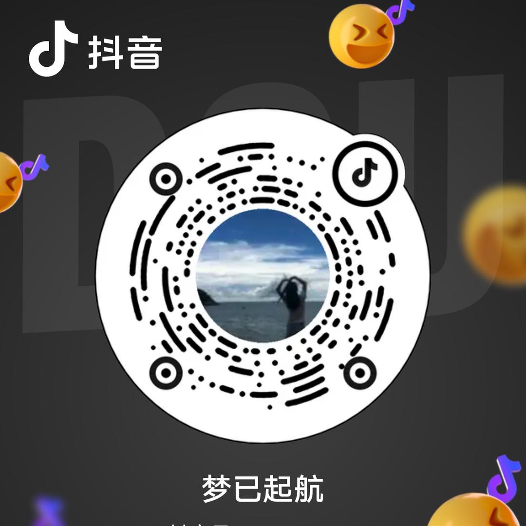 梦已起航头像