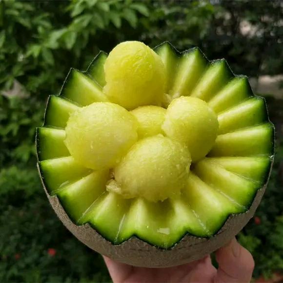 灰宝