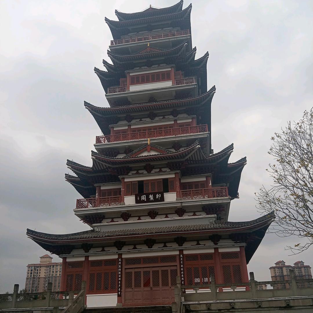 单身妹妹🌸🌸🌸