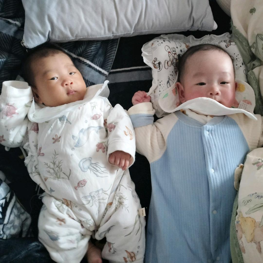 吴小布