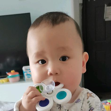 小铃铛（皓皓）