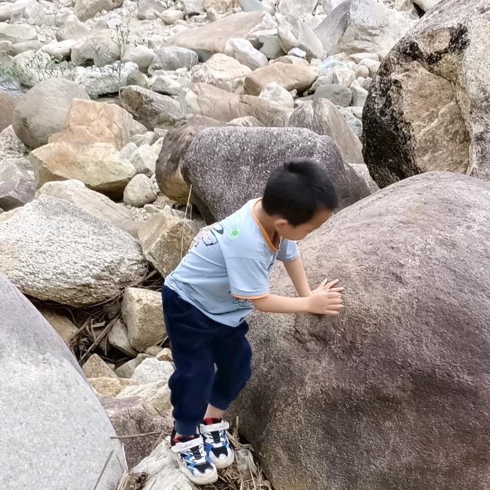 传诚123