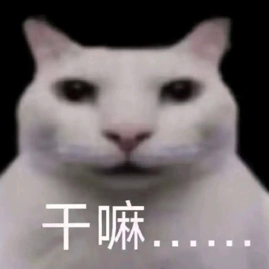 西伯利亚小白马
