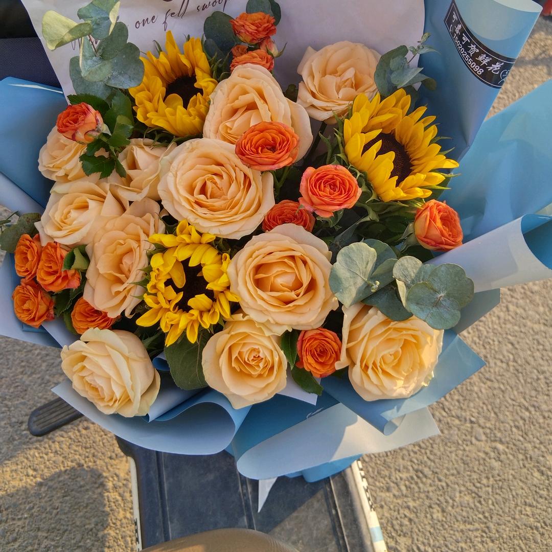 小树苗好物分享