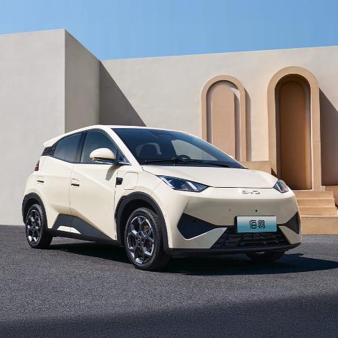 比亚迪海鸥～小蓉