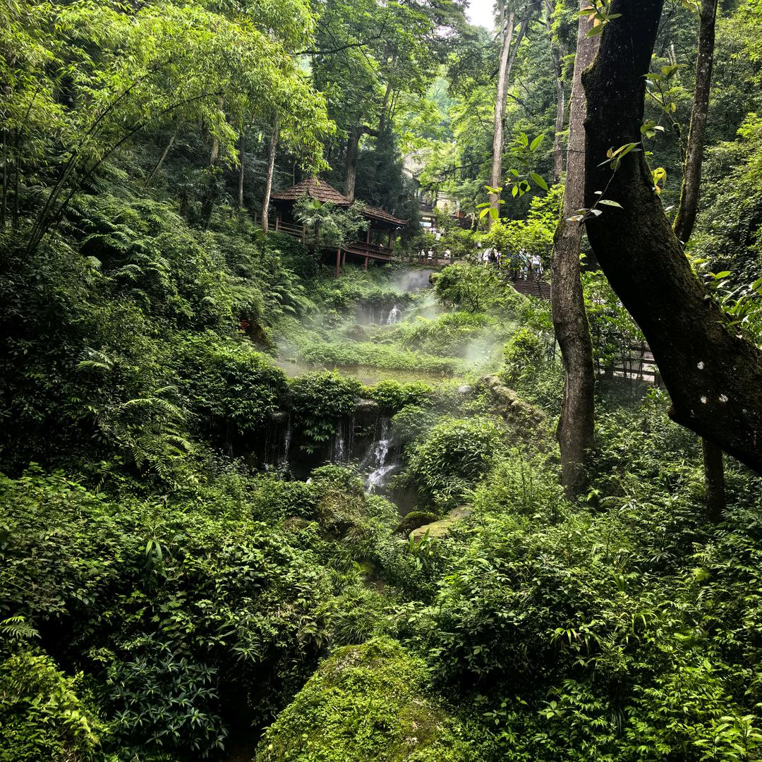 财神爷最爱的小宝贝💰