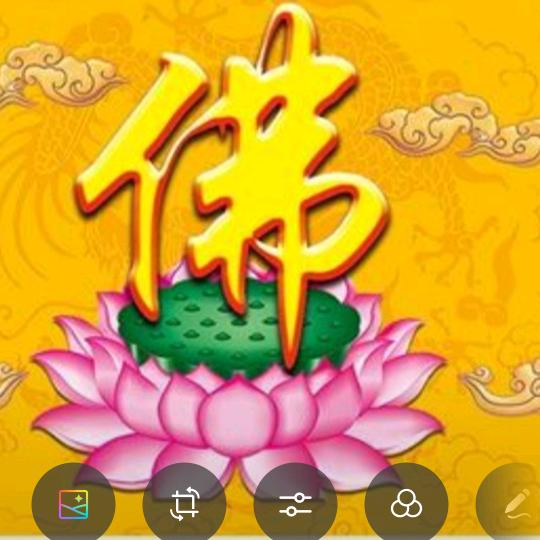 孤雁