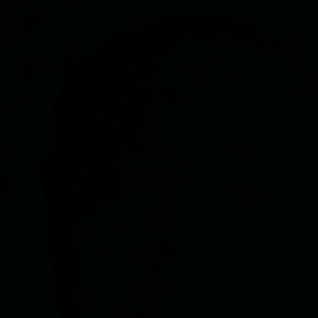 FS
