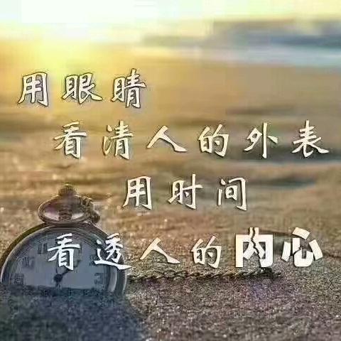 寒夜飘零~鹏
