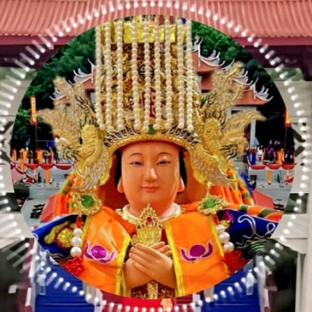 陳姐🌹🍀🌺🌴(请勿连赞)