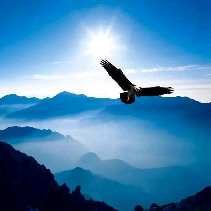 大贾家，承泰亿华，付老师