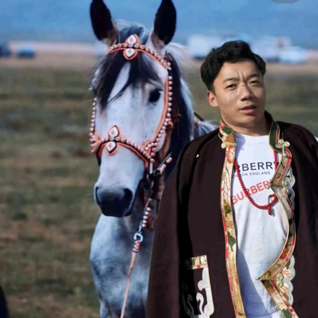 真心真一