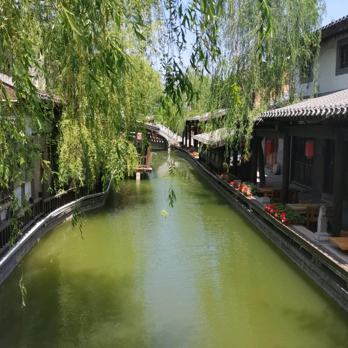 张小静