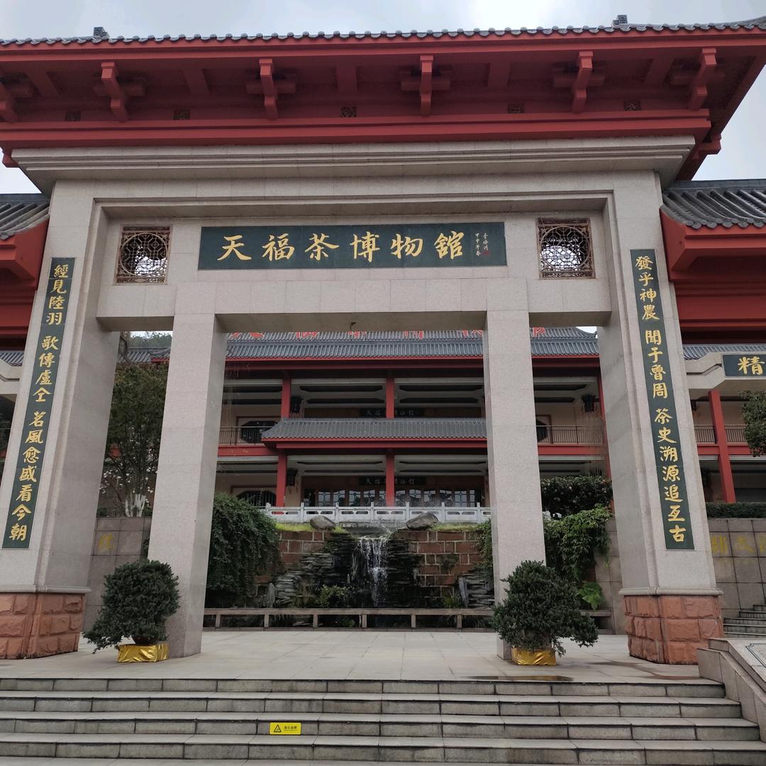 想你