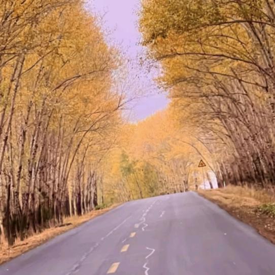 王者荣耀，轻松上荣耀王者