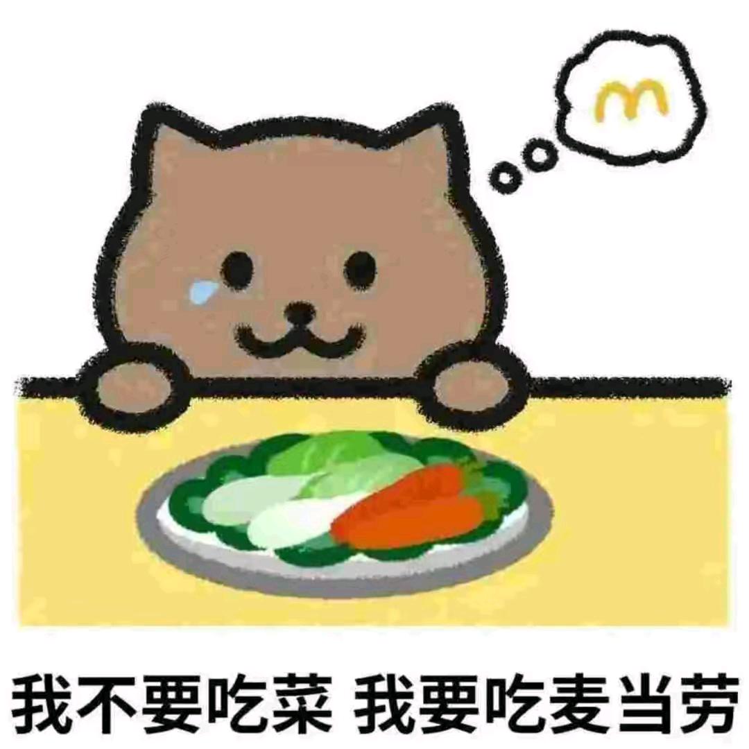 熊坏坏