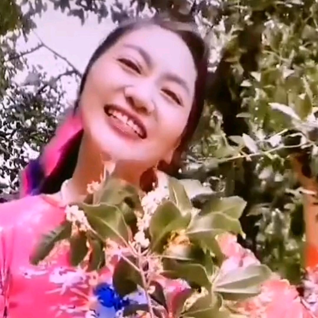 菊妹子（开心最好拒聊）