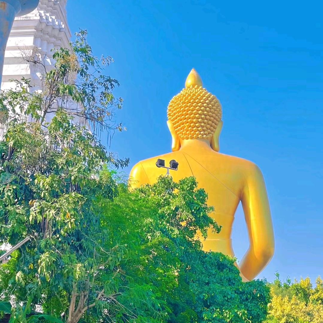 坏酒药子