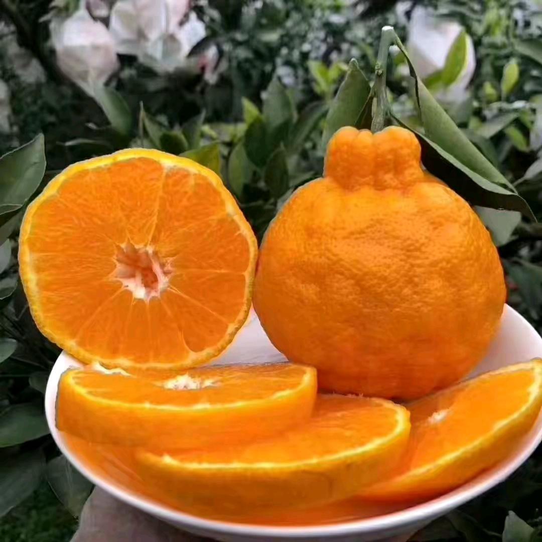 八方来财《🐇》